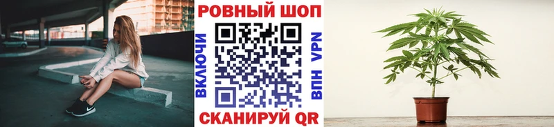 Меф мяу мяу Шумерля