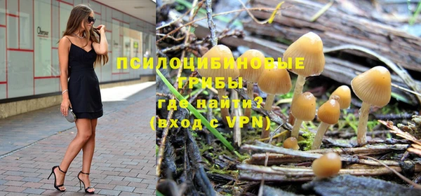 мдпв Горнозаводск