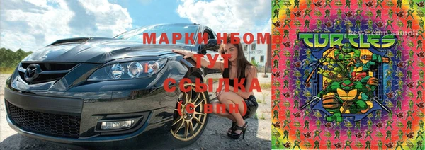 мдпв Горнозаводск