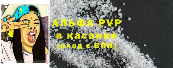 мдпв Горнозаводск