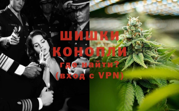мдпв Горнозаводск