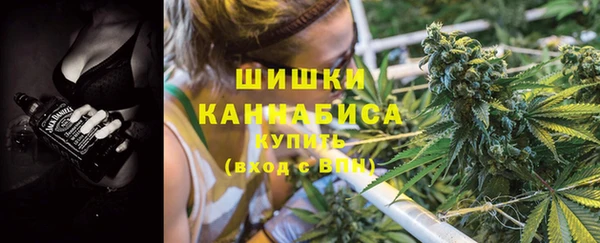 мдпв Горнозаводск