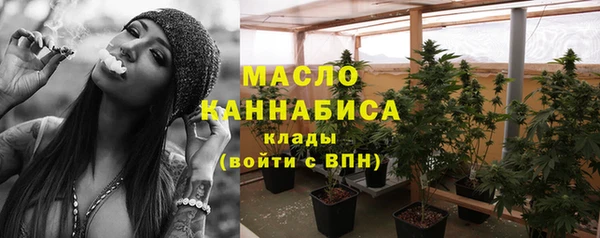 мдпв Горнозаводск