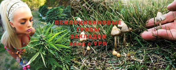 jwh Горняк