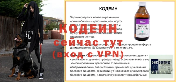 мдпв Горнозаводск